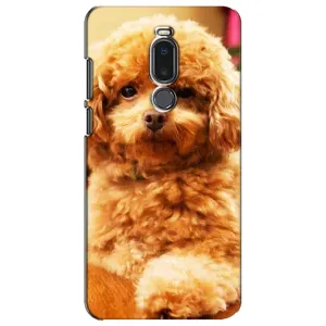 Чохол з принтом «Цуценя Бішон» для Meizu Note 8