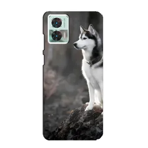 Чехол с Хаски для Motorola Edge 30 Neo - (AlphaPrint) (Верный пес)