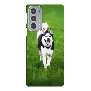 Чохол з Хаскі Motorola Edge 20 - (AlphaPrint) (Радісний Хаскі)