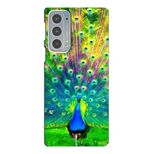 Чохол з пташками на Motorola Edge 20 (VPrint) (Яскравий Павлин)