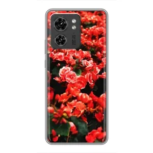 Чохли з квітами для Motorola Edge 40 Pro (VPrint) (Квіти червоні)