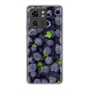 Чохли з фруктами для Motorola Edge 40 Pro (VPrint) (Ожина)