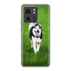 Чохол з Хаскі Motorola Edge 40 Pro - (AlphaPrint) (Радісний Хаскі)