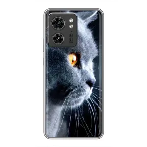 Чохли з Котиками для Motorola Edge 40 Pro (VPrint) (Сірий Кіт)