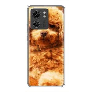 Чохли з собаками для Motorola Edge 40 Pro (VPrint) (Цуценя Бішон)