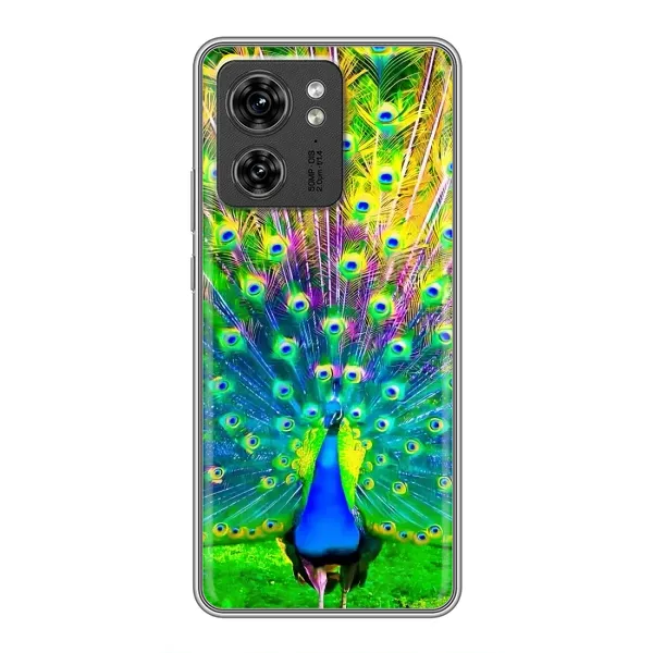 Чохол з принтом «Яскравий Павлин» для Motorola Edge 40 Pro Чохол з принтом «Яскравий Павлин» для Motorola Edge 40 Pro