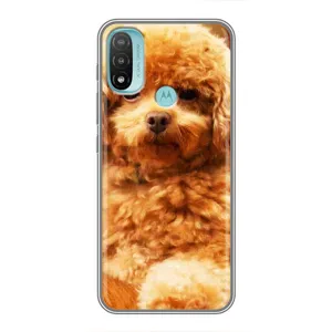 Чехол с принтом «Щенок Бишон» для Motorola MOTO E40