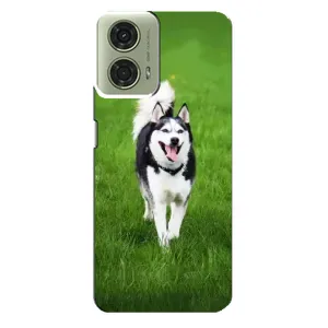 Чохол з Хаскі Motorola MOTO G24 - (AlphaPrint) (Радісний Хаскі)