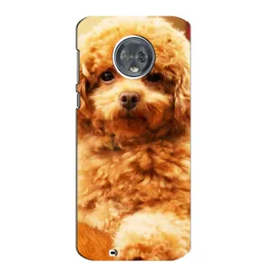 Чехлы с собаками для Motorola MOTO G6 (VPrint) (Щенок Бишон)