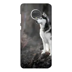 Чохол з Хаскі Motorola Moto G7 Plus - (AlphaPrint) (Вірний собака)