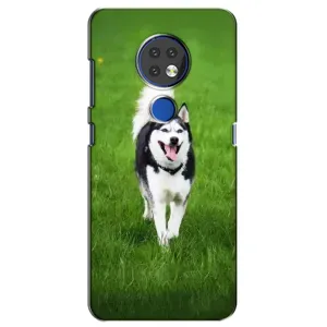 Чохол з Хаскі Nokia 6.2 (2019) - (AlphaPrint) (Радісний Хаскі)
