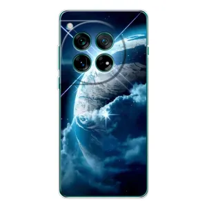 Космічні Чохли для ВанПлюс 11Р (VPrint) (Земля з космоса)