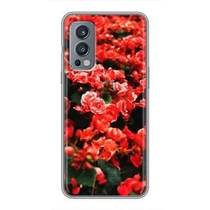 Чехлы с Цветами для OnePlus Nord 2 (VPrint) (Цветы красные)