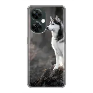 Чохол з Хаскі OnePlus Nord CE 3 Lite - (AlphaPrint) (Вірний собака)