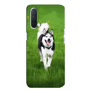 Чохол з Хаскі OnePlus Nord CE 5G - (AlphaPrint) (Радісний Хаскі)