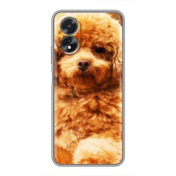 Чохол з принтом «Цуценя Бішон» для OPPO A17