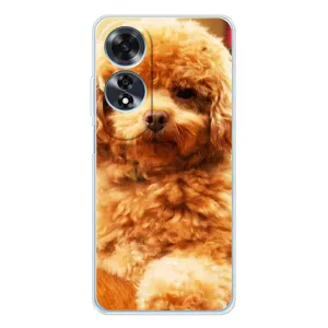 Чехол с принтом «Щенок Бишон» для OPPO A60 5G