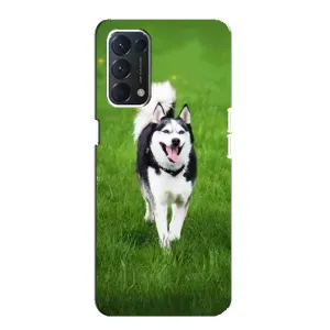 Чохол з Хаскі Oppo Find X3 Lite - (AlphaPrint) (Радісний Хаскі)