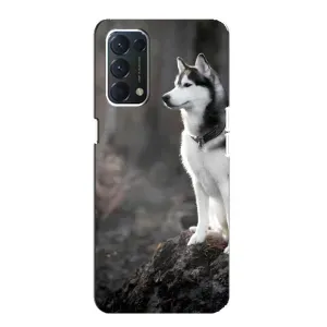 Чохол з Хаскі Oppo Find X3 Lite - (AlphaPrint) (Вірний собака)