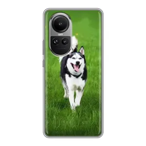 Чохол з Хаскі Oppo Reno 10 Pro - (AlphaPrint) (Радісний Хаскі)