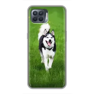 Чохол з Хаскі OPPO Reno 4 Lite - (AlphaPrint) (Радісний Хаскі)