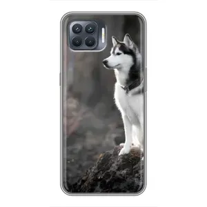 Чохол з Хаскі OPPO Reno 4 Lite - (AlphaPrint) (Вірний собака)