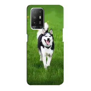 Чохол з Хаскі Oppo Reno 5z - (AlphaPrint) (Радісний Хаскі)