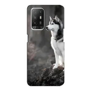 Чохол з Хаскі Oppo Reno 5z - (AlphaPrint) (Вірний собака)