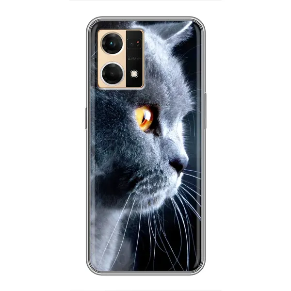 Чохол з принтом «Сірий Кіт» для OPPO Reno7 4G