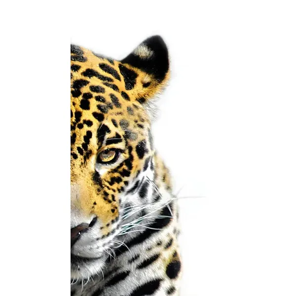 Чохол з принтом «Леопард» для OPPO Reno7 4G