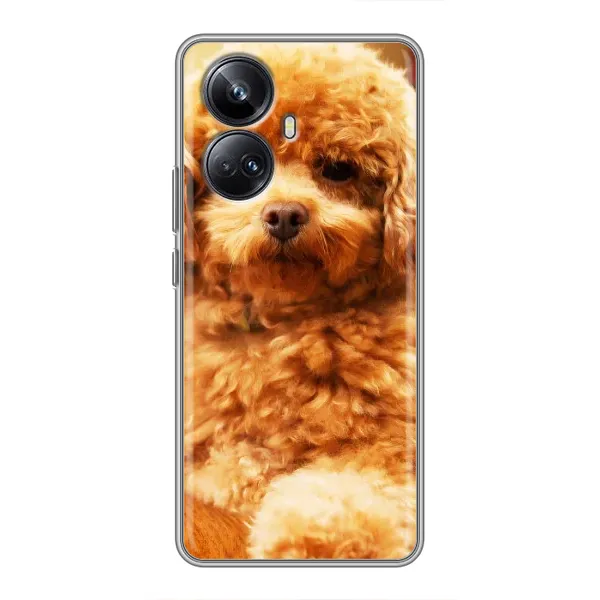 Чехол с принтом «Щенок Бишон» для Realme 10 Pro Plus Чехол с принтом «Щенок Бишон» для Realme 10 Pro Plus