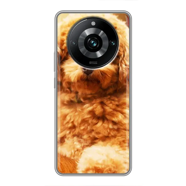 Чохол з принтом «Цуценя Бішон» для Realme 11 Pro Plus