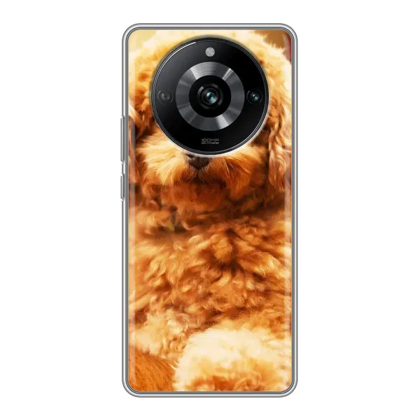 Чехол с принтом «Щенок Бишон» для Realme 11 Pro Чехол с принтом «Щенок Бишон» для Realme 11 Pro