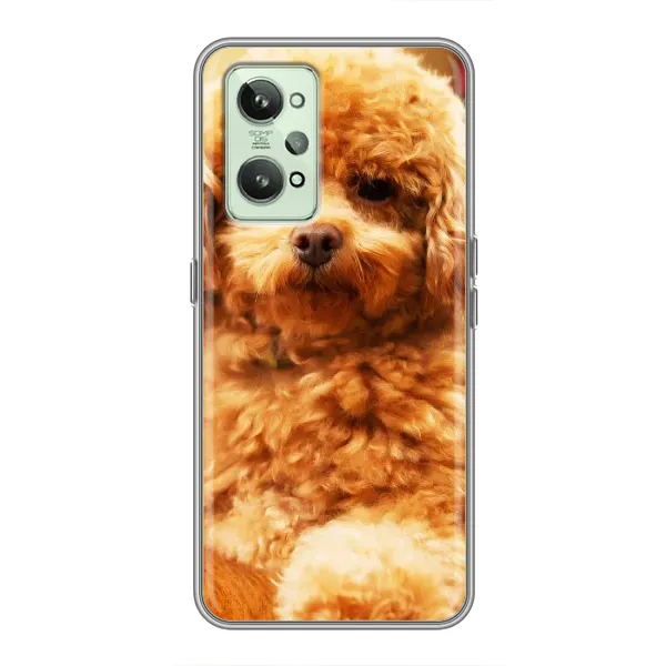 Чехол с принтом «Щенок Бишон» для Realme GT2 Чехол с принтом «Щенок Бишон» для Realme GT2