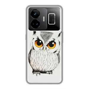 Чохол з пташками на Realme GT3 (VPrint) (Мила Сова)