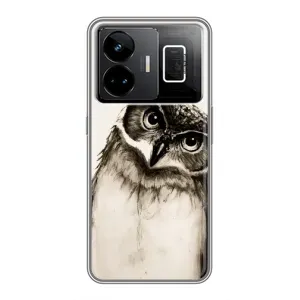 Чохол з пташками на Realme GT3 (VPrint) (Сова)