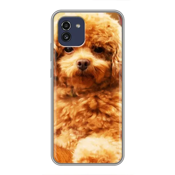 Чохол з принтом «Цуценя Бішон» для Samsung Galaxy A03 (A035)