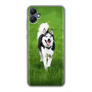 Чохол з Хаскі Samsung Galaxy A05 - (AlphaPrint) (Радісний Хаскі)