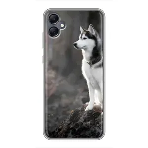Чохол з Хаскі Samsung Galaxy A05 - (AlphaPrint) (Вірний собака)