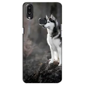 Чохол з Хаскі Samsung Galaxy A10s (A107) - (AlphaPrint) (Вірний собака)