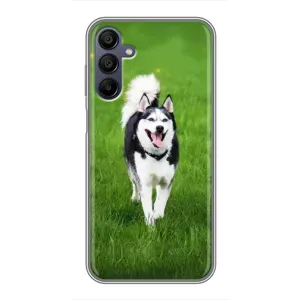 Чохол з Хаскі Samsung Galaxy A15 (A155) - (AlphaPrint) (Радісний Хаскі)