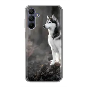 Чохол з Хаскі Samsung Galaxy A15 (A155) - (AlphaPrint) (Вірний собака)