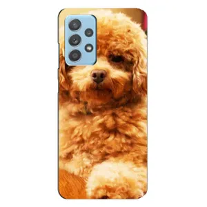 Чехол с принтом «Щенок Бишон» для Samsung Galaxy A23