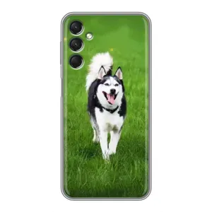 Чохол з Хаскі Samsung Galaxy A24 - (AlphaPrint) (Радісний Хаскі)