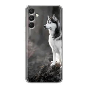 Чохол з Хаскі Samsung Galaxy A24 - (AlphaPrint) (Вірний собака)