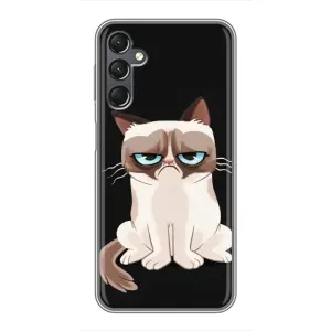 Чохол з принтом для Samsung Galaxy A25 (A256) (AlphaPrint) Модні коти (Сумний кіт)