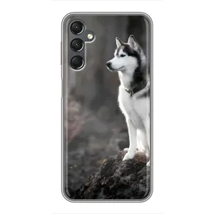 Чохол з Хаскі Samsung Galaxy A25 (A256) - (AlphaPrint) (Вірний собака)