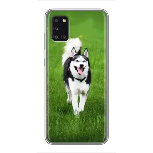 Чохол з Хаскі Samsung Galaxy A31 (A315) - (AlphaPrint) (Радісний Хаскі)