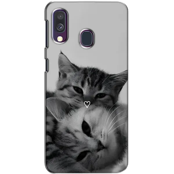 Чехол с принтом «Пара котов» для Samsung Galaxy A40 2019 (A405F)