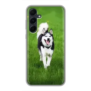 Чохол з Хаскі Samsung Galaxy A55 - (AlphaPrint) (Радісний Хаскі)